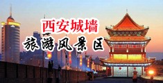 黑人抽插操干视频中国陕西-西安城墙旅游风景区